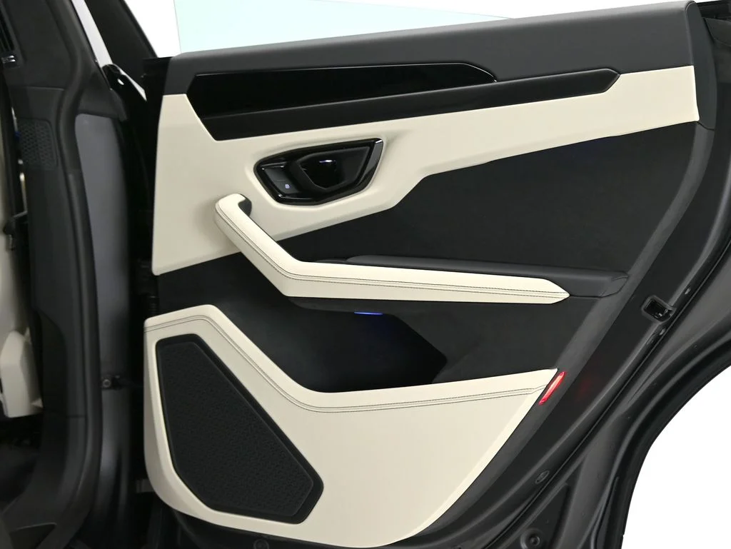 New 2026 Nero Nemesis Matt Lamborghini SE image 29