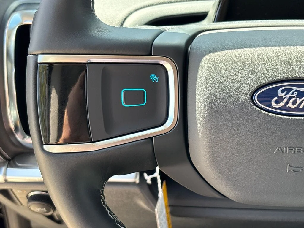 New 2026 Black Ford Platinum image 20