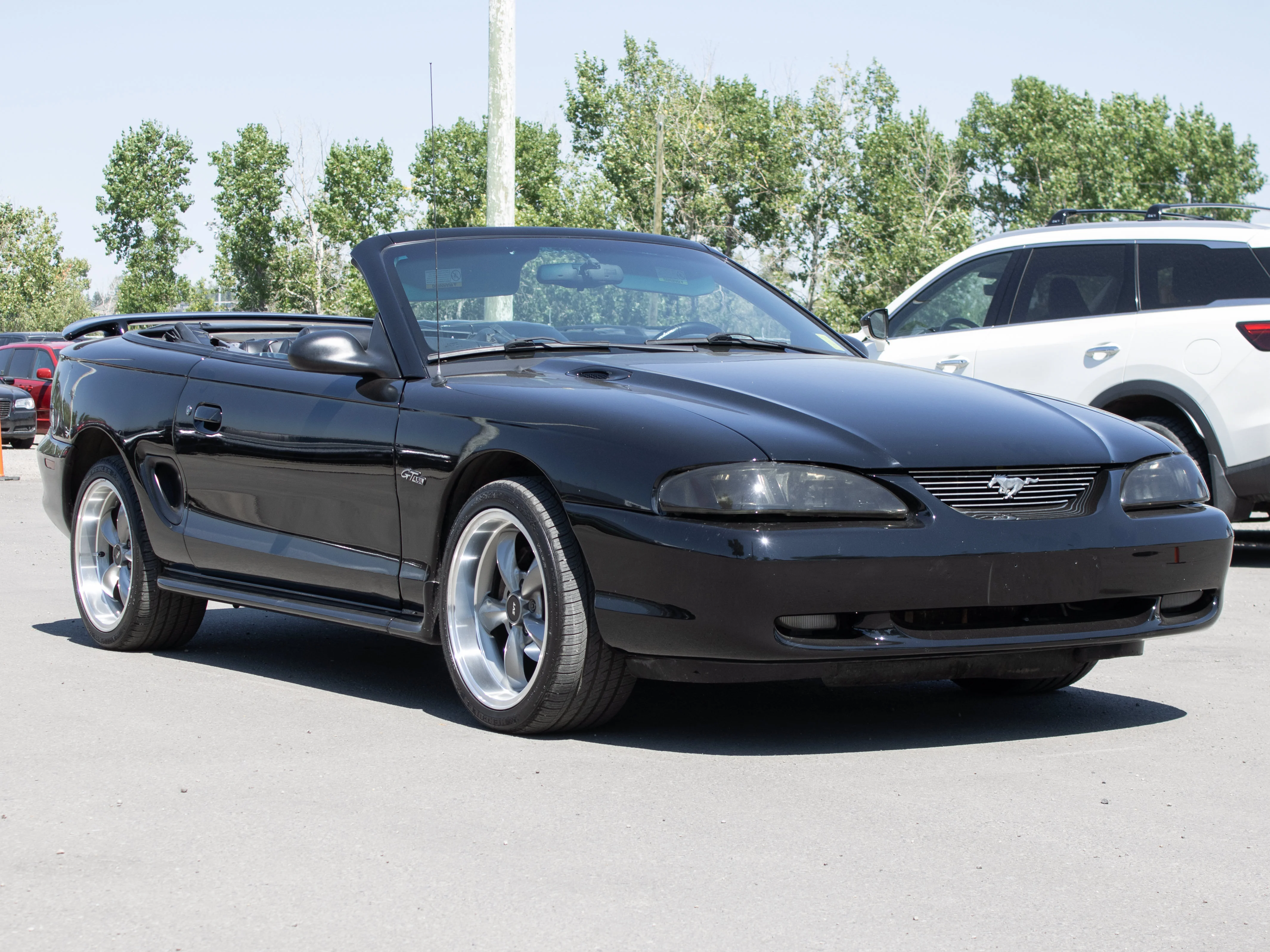 Used 1997 Black Ford GT* Convertible | 4.6L V8 | 5-Speed Manual | SVT Wheels | image 10