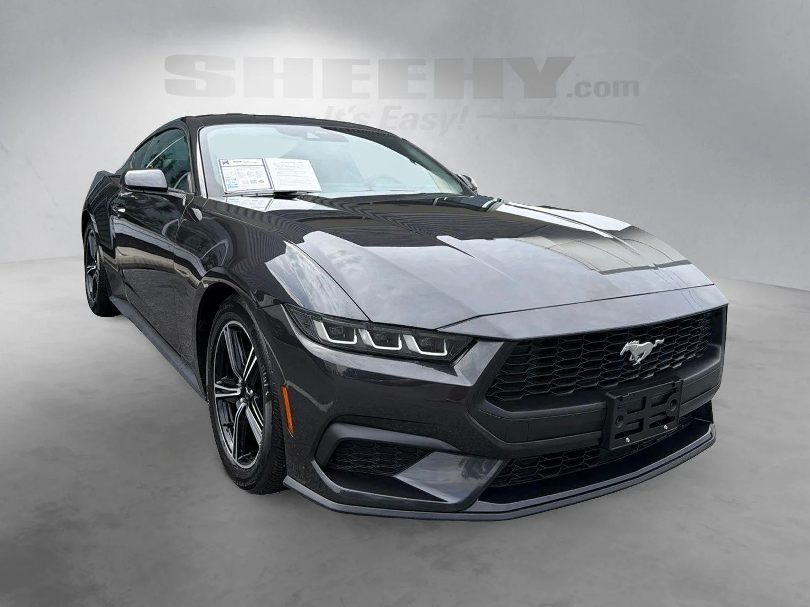 Used 2024 Dark Matter Gray Ford EcoBoost image 2