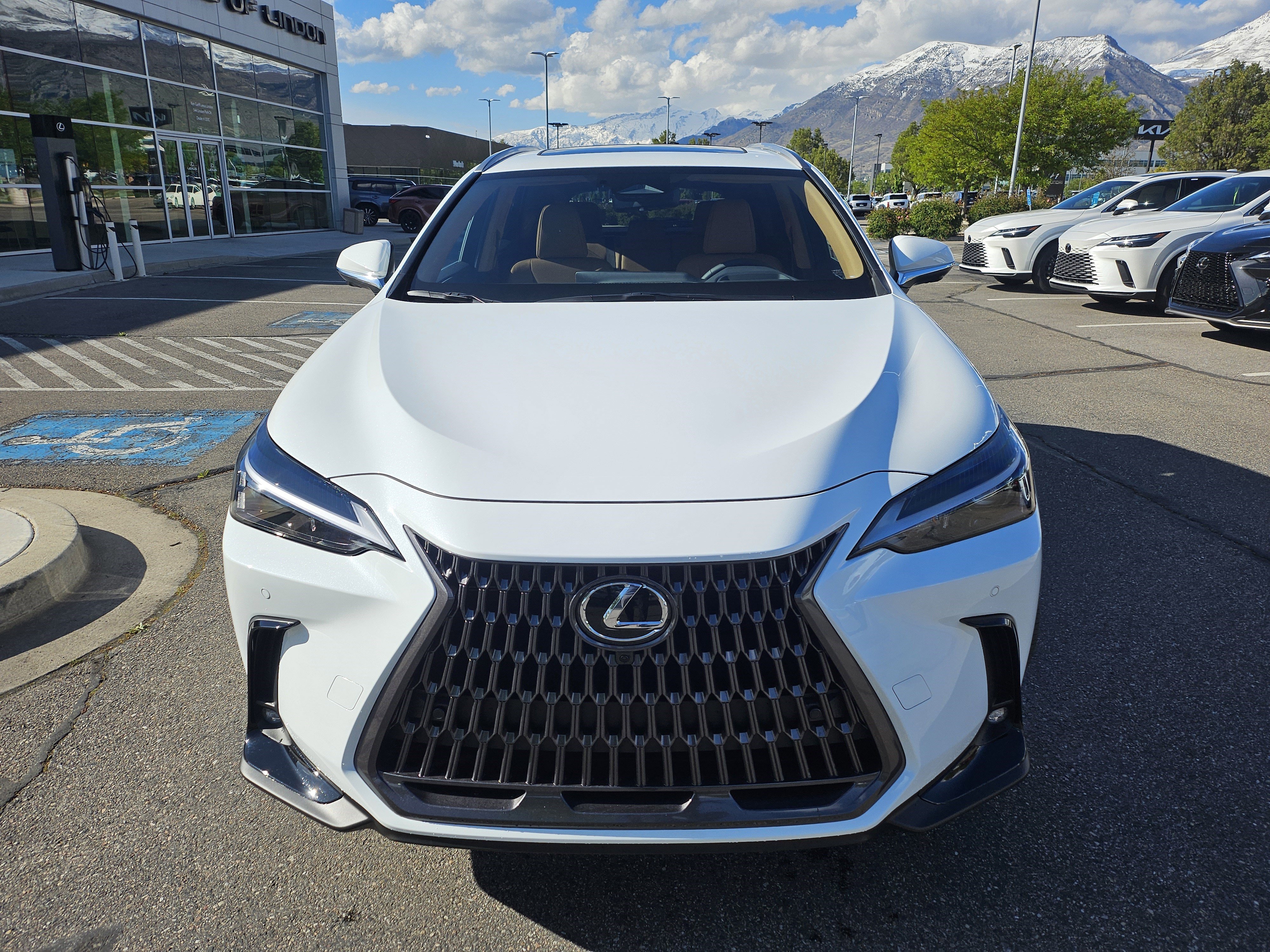 New 2026 Ultra White Lexus PREMIUM image 2