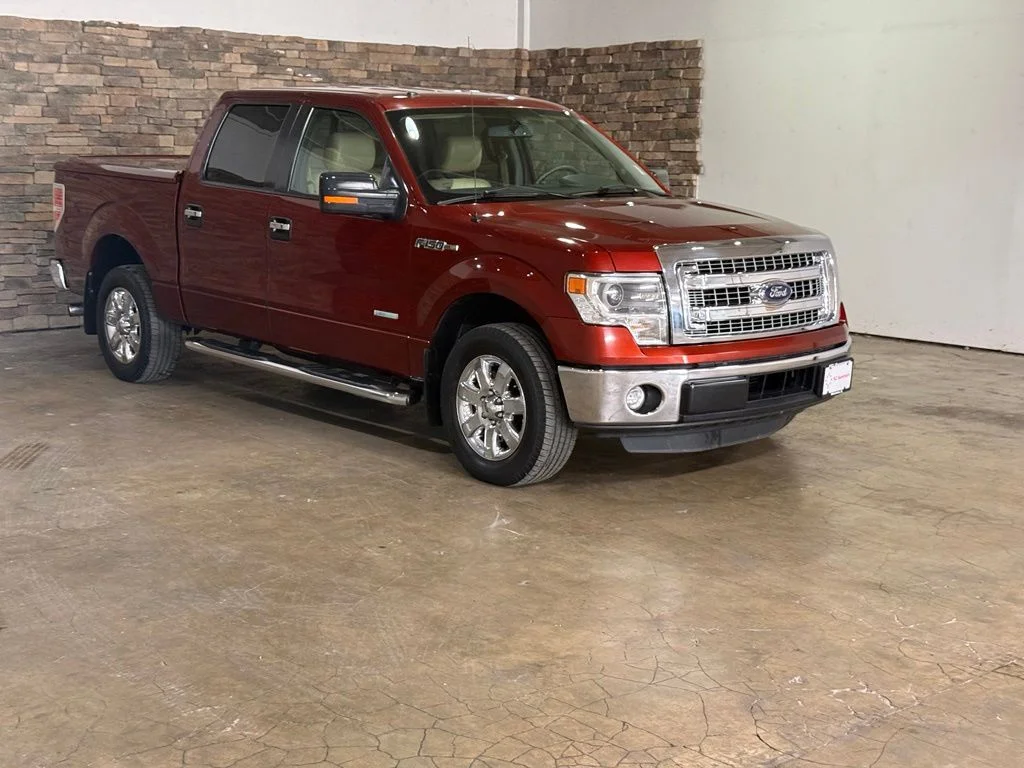 Used 2014 Sunset Ford XLT image 3