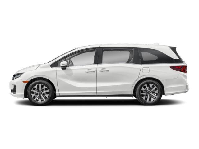 New 2027 Platinum White Pearl Honda EX-L image 3