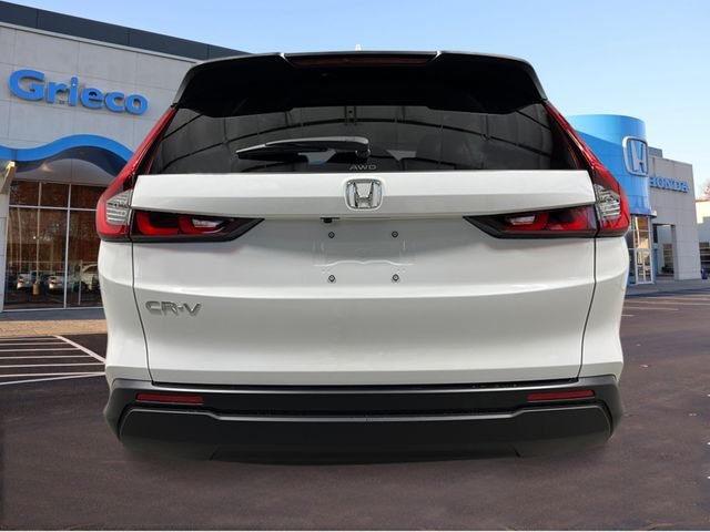 New 2026 Platinum White Pearl Honda EX image 4