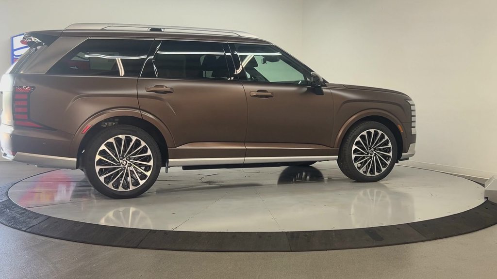 New 2026 Earthy Brass Matte Hyundai Calligraphy image 7