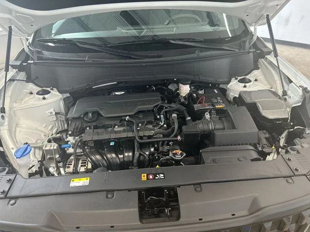 New 2027 Snow White Pearl / Black Roof Kia X-Line image 19