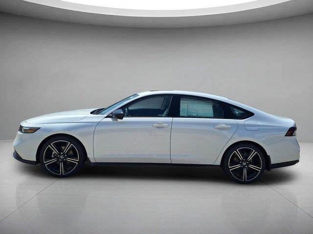 New 2026 Platinum White Pearl Honda SE image 2