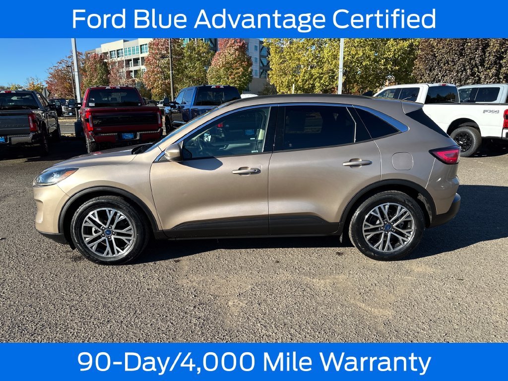 Used 2020 Gold Ford SEL image 4