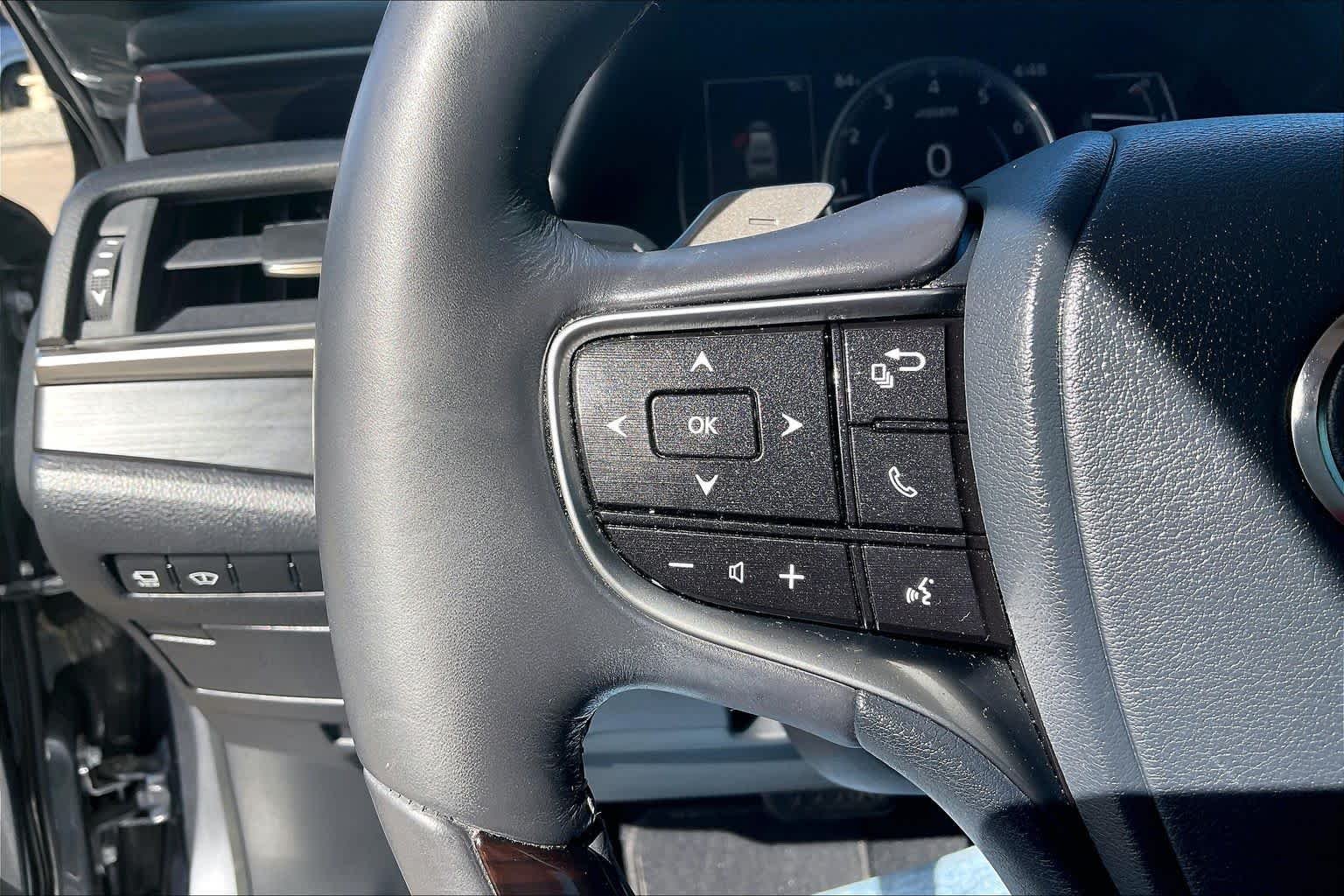 Used 2019 Nebula Gray Pearl Lexus Ultra Luxury image 22