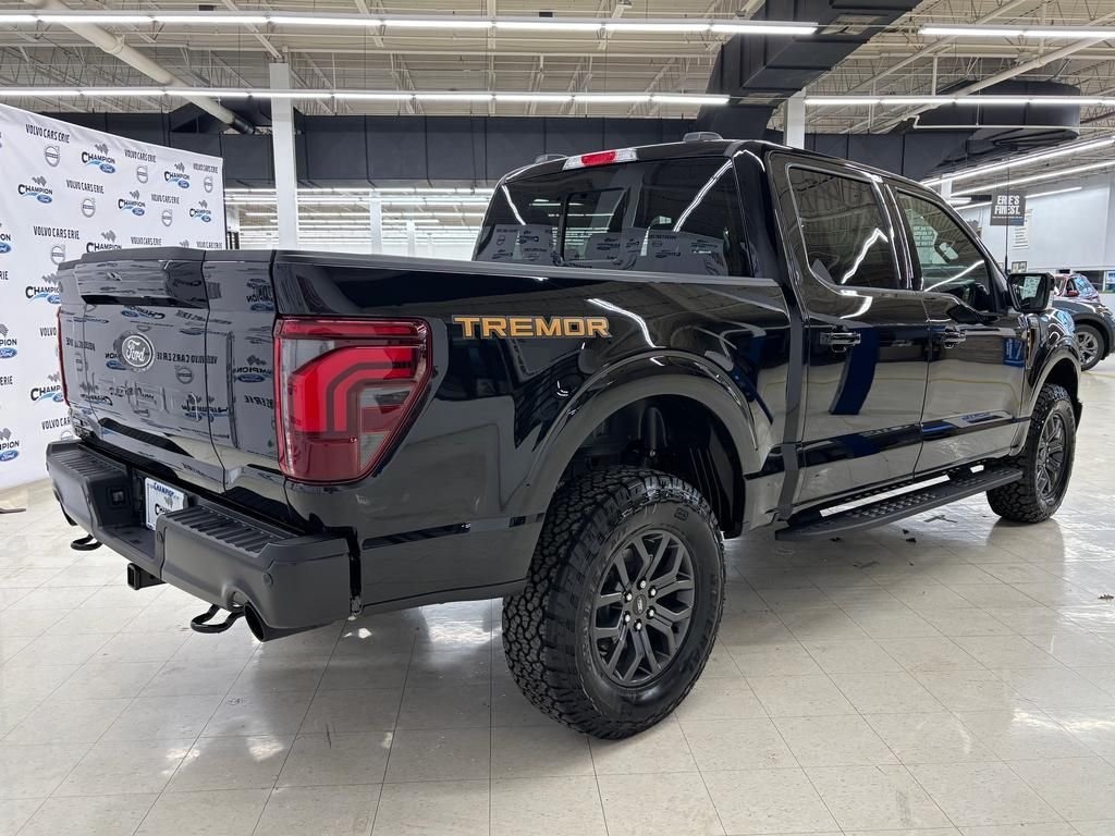 2025 Ford F-150 Tremor - Photo 8