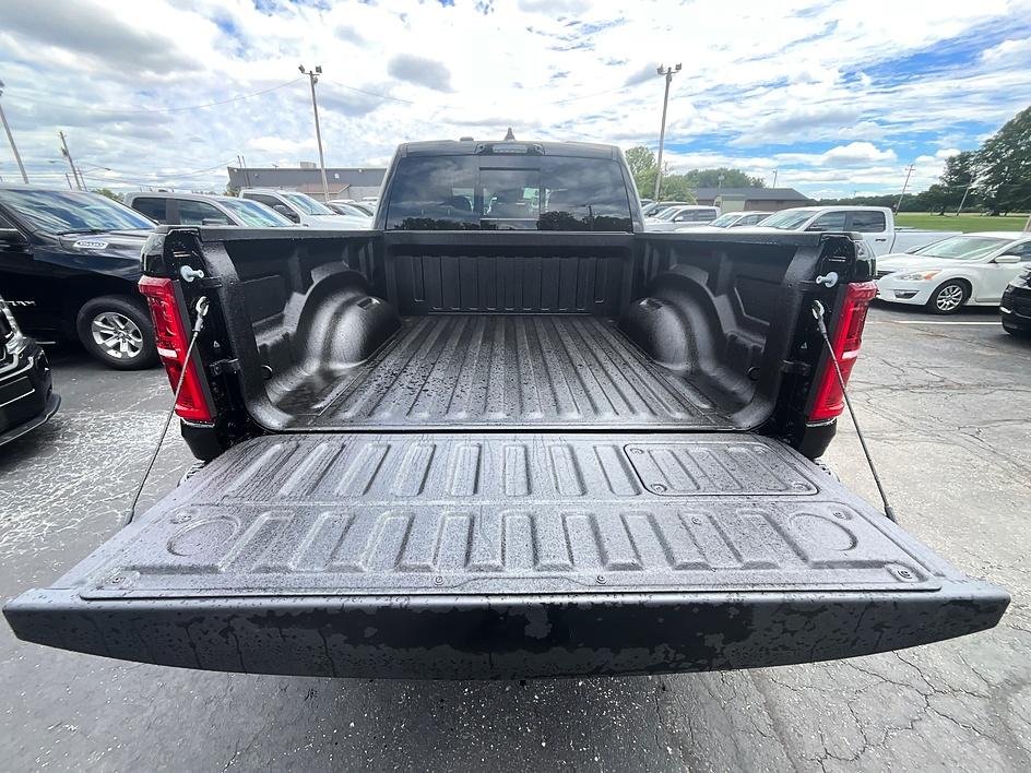 New 2026 Diamond Black Crystal Pearl-Coat Exterior Paint RAM RHO image 8