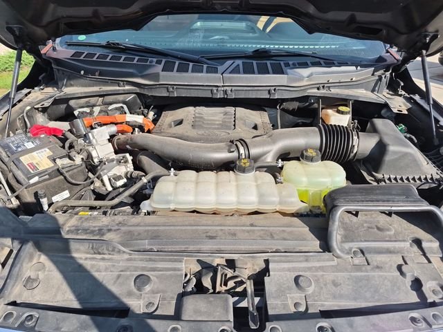 Used 2021  Ford Platinum image 36