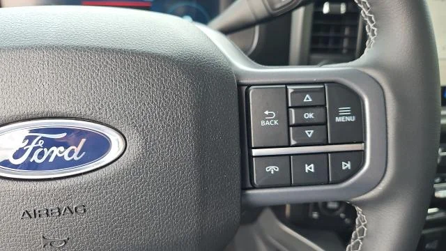 New 2026 Carbonized Gray Metallic Ford Black Widow 4WD image 28