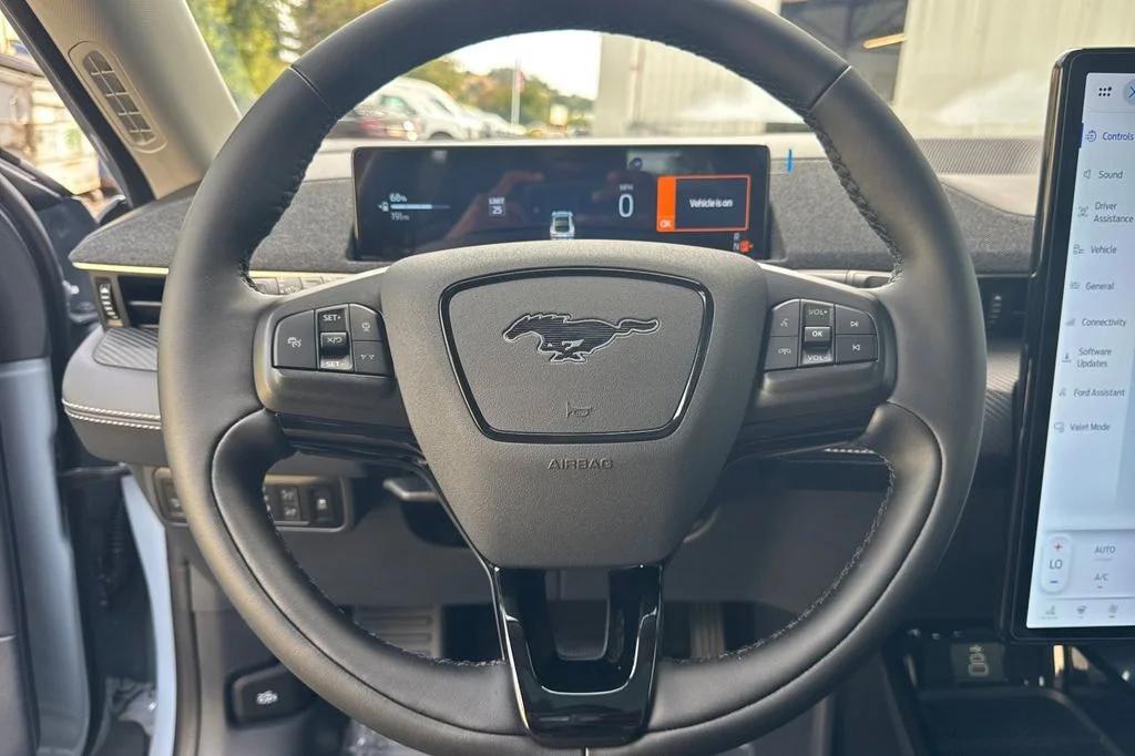 New 2026 Gray Metallic Ford Premium image 24