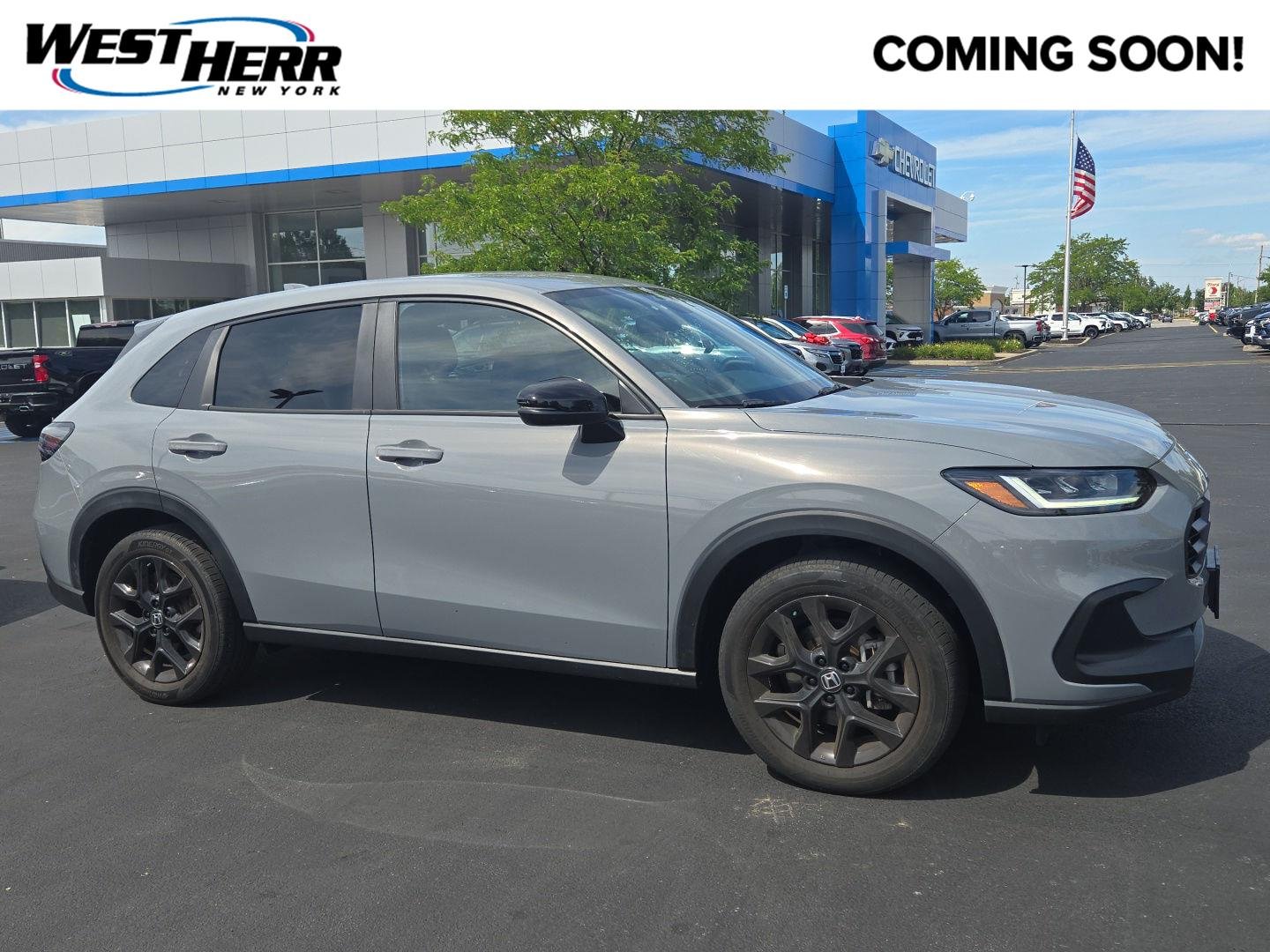 Used 2024 Urban Gray Pearl Honda Sport image 1
