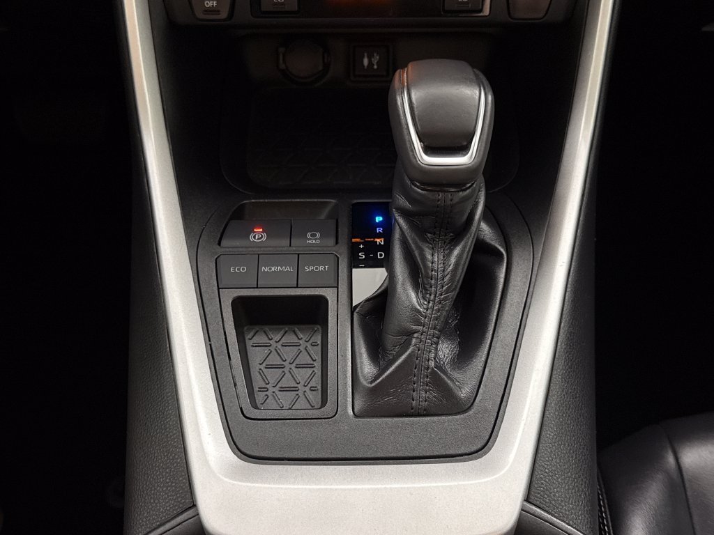 2019 Toyota RAV4 XLE Premium - Photo 20