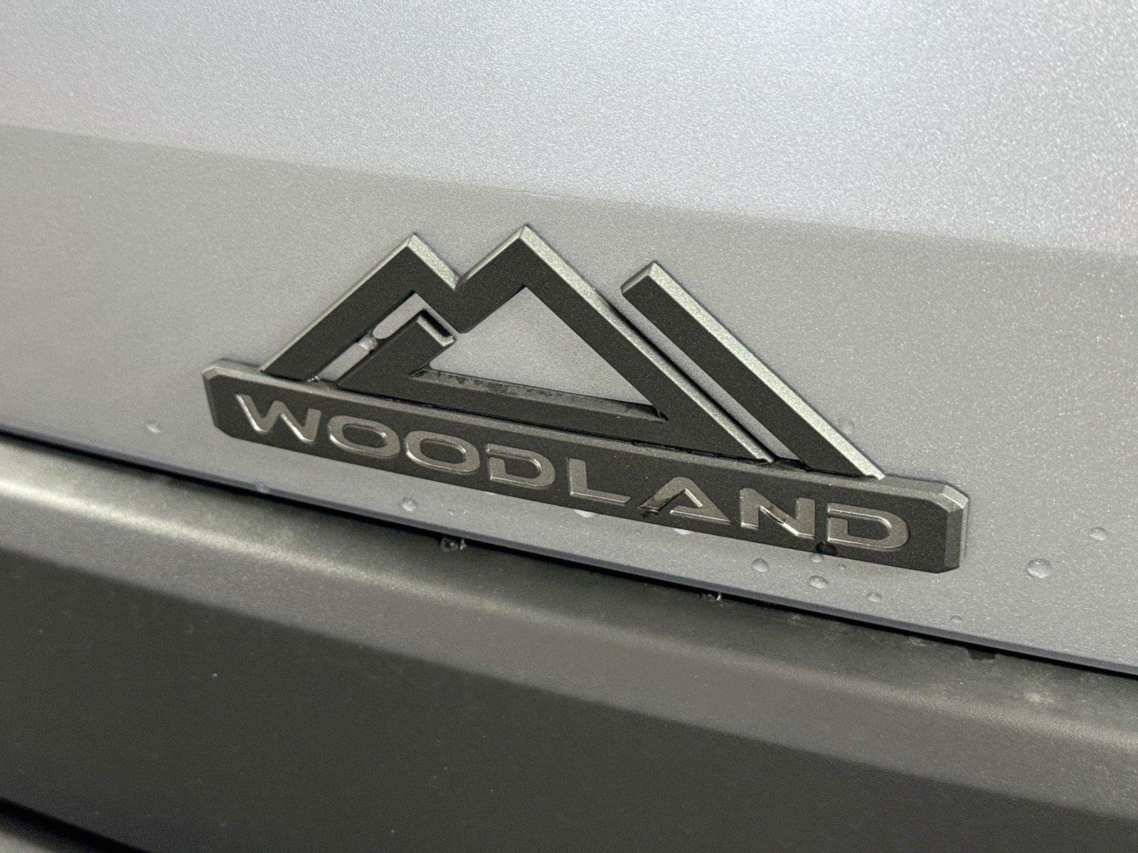 New 2026 Steel Toyota bZ Woodland image 15