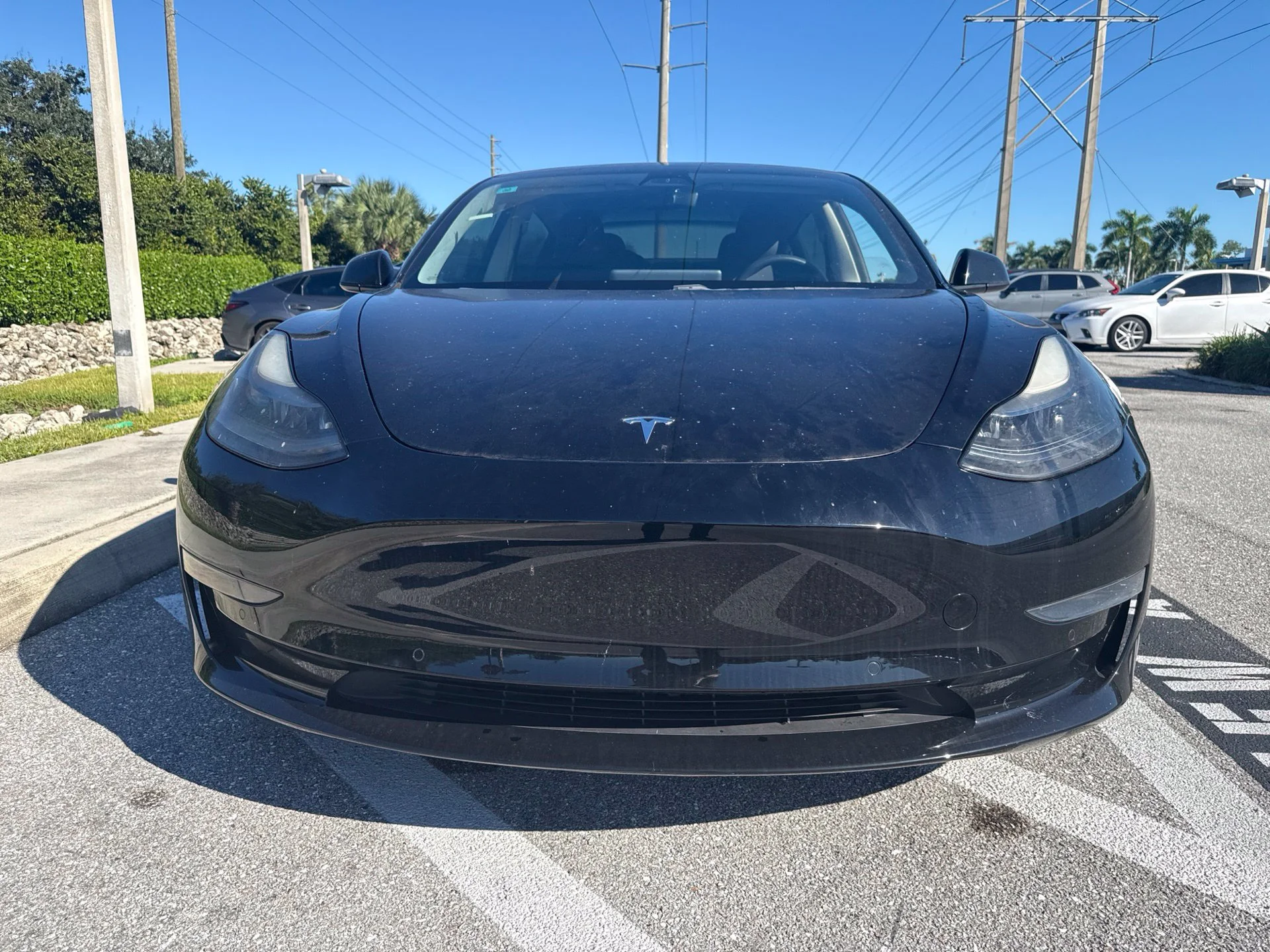 Used 2021 Tesla Model 3 Base with VIN 5YJ3E1EA6MF921345 for sale in Naples, FL