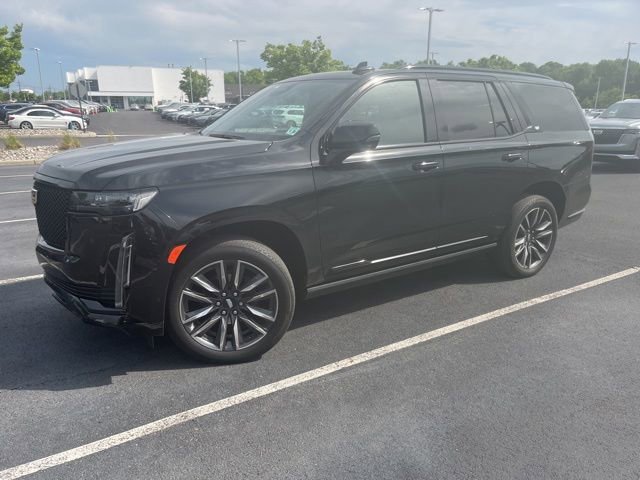 2023 Cadillac Escalade 4WD Sport's photo