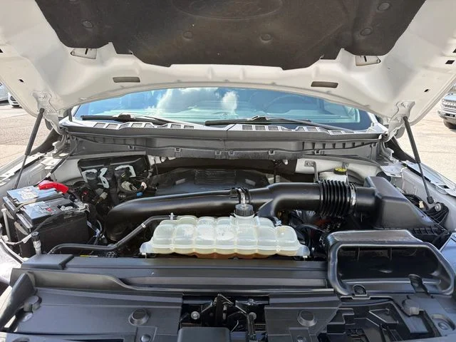 Used 2023 White Ford Tremor image 22