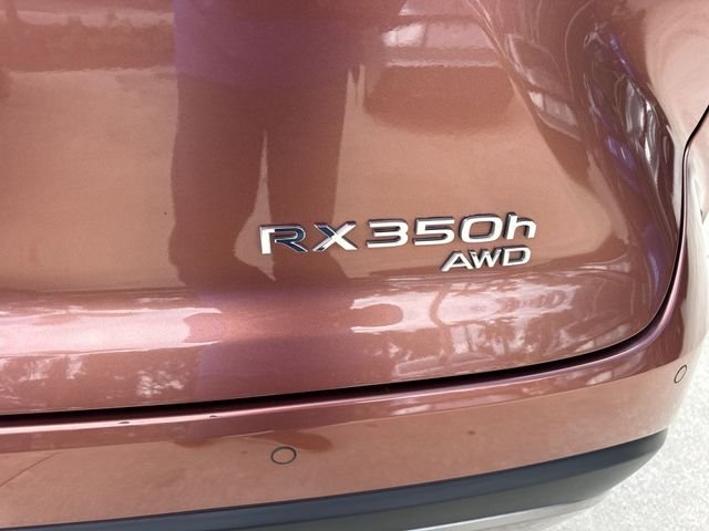 2025 Lexus RX Hybrid 350h - Photo 25