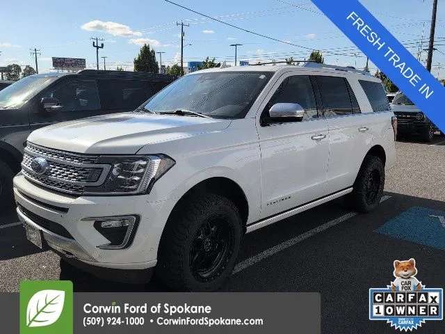 2021 Ford Expedition Platinum 4x4's photo