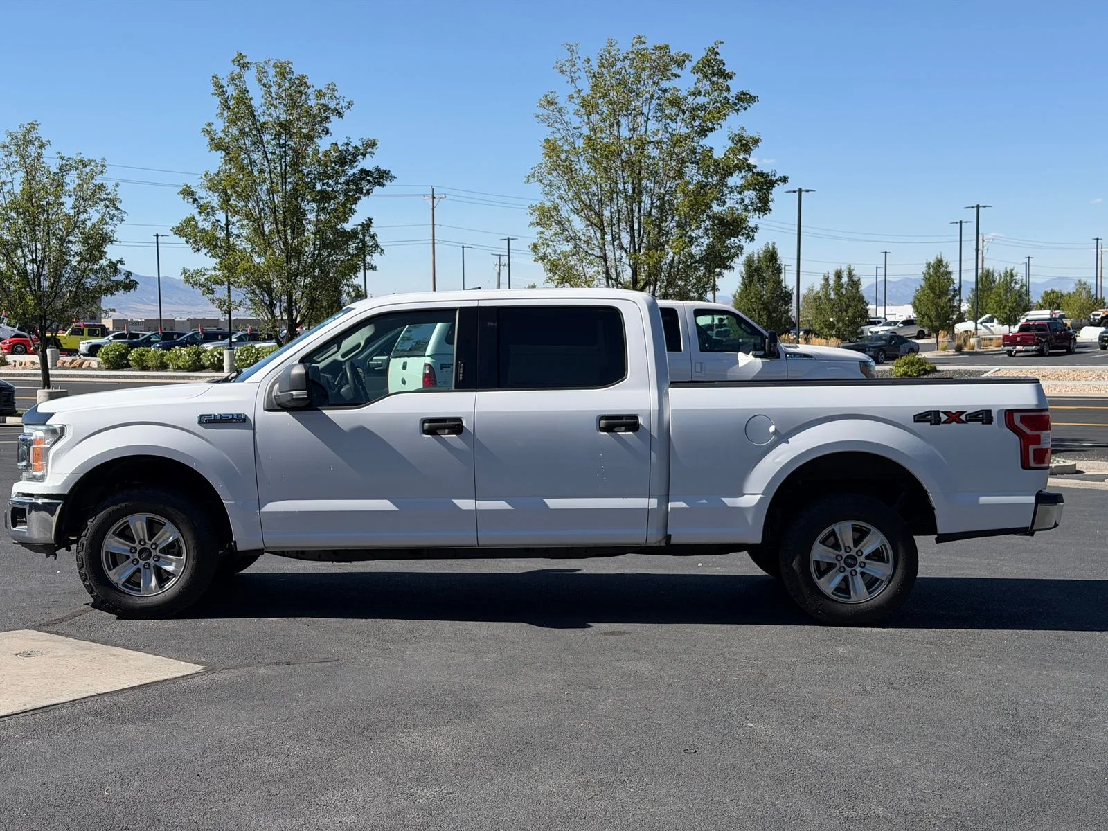 Used 2020 White Ford XLT image 5