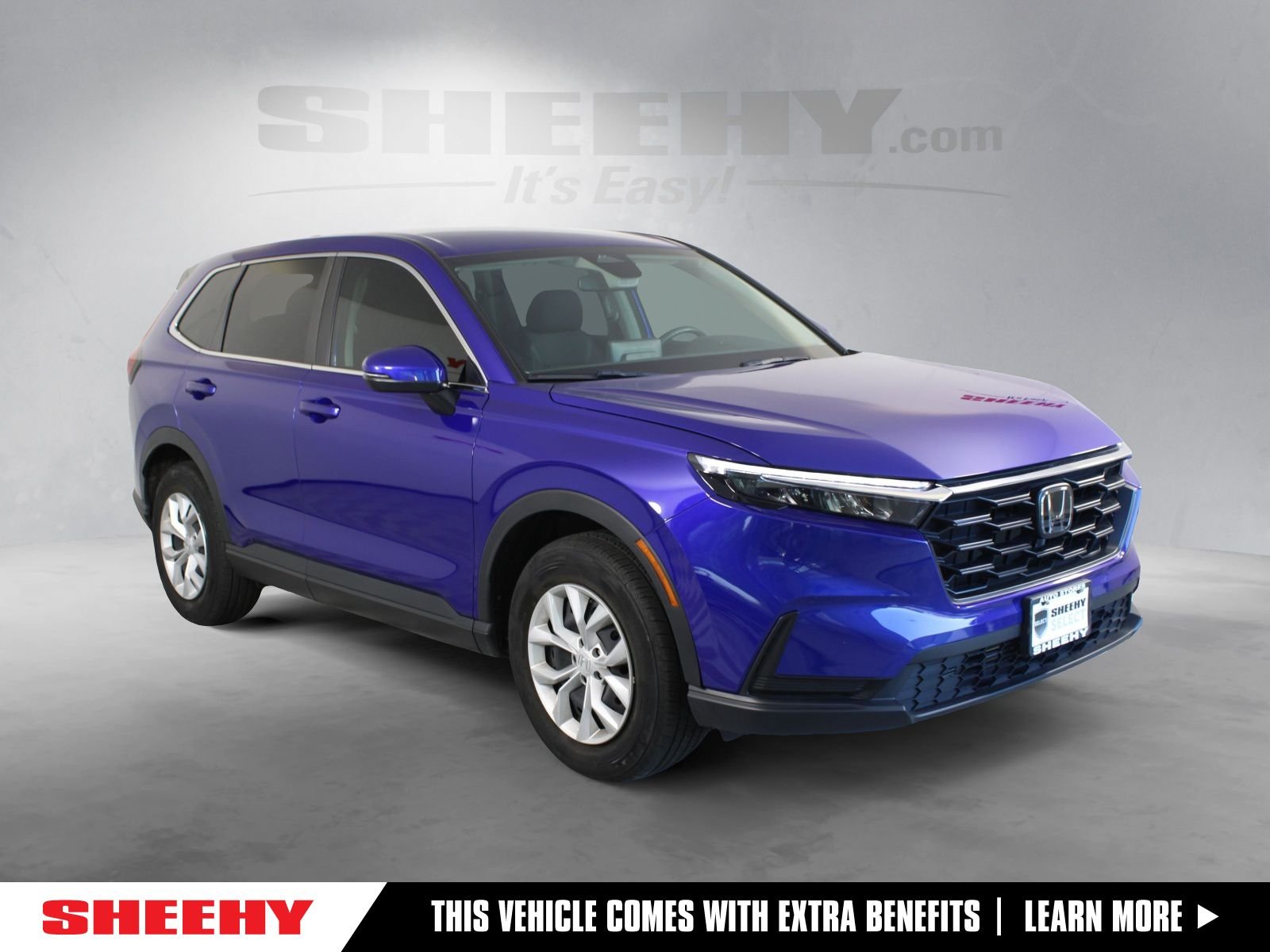 Used 2024  Honda LX image 1
