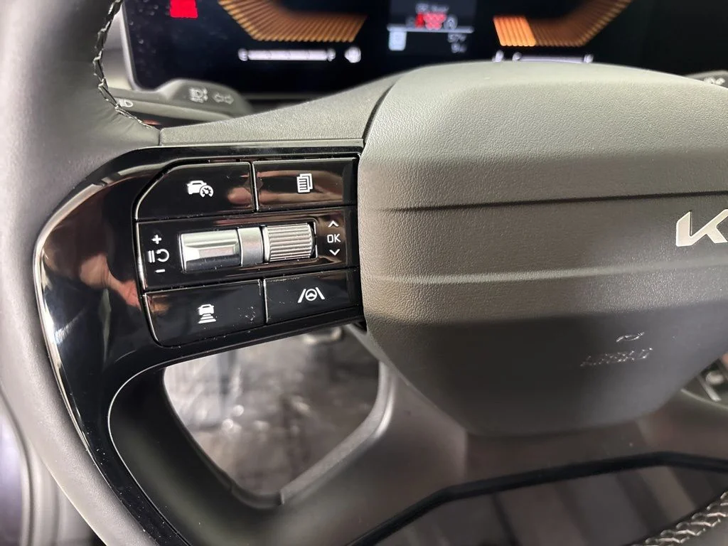 New 2026 Panthera Metal Kia S image 20