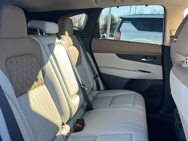 New 2026 Everest White Pearl TriCoat / Super Black Two-tone Nissan Platinum image 13