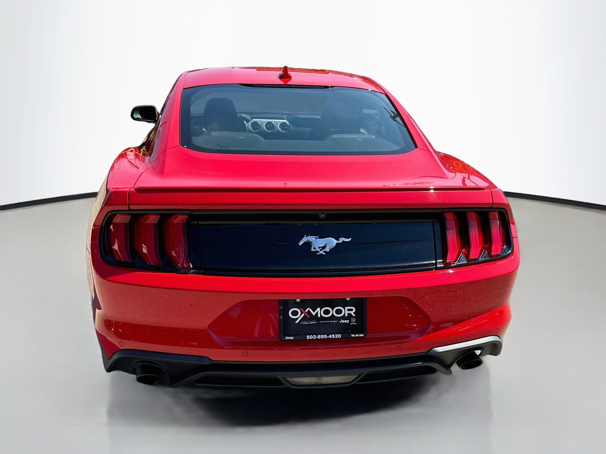 Used 2021 Race Red Ford EcoBoost Premium image 6