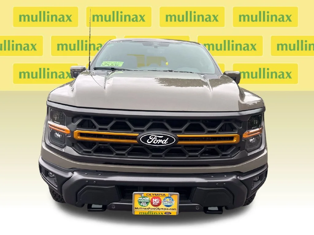 New 2026 Gray Ford Tremor image 11