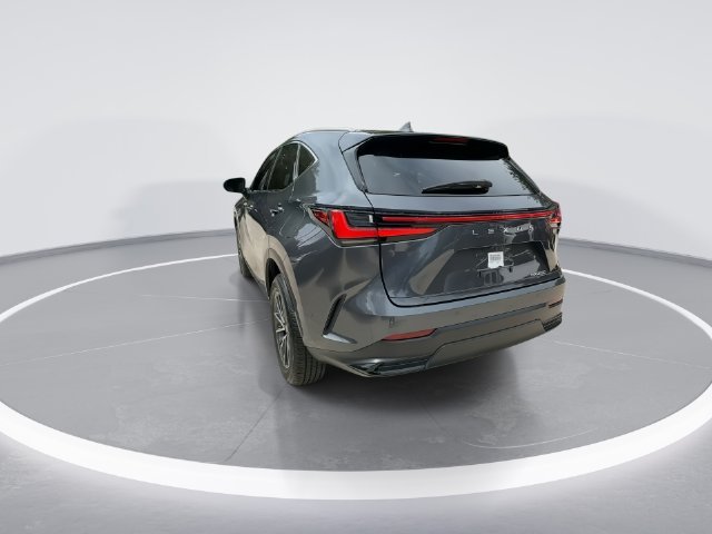 2025 Lexus NX 250 - Photo 6