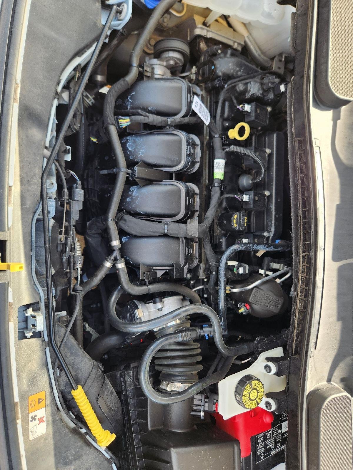 Used 2023 Frozen White Ford XLT image 31