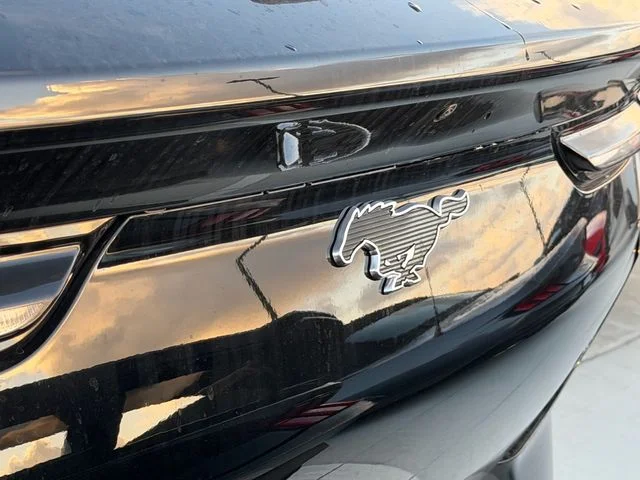 New 2026 Shadow Black Ford Premium image 7