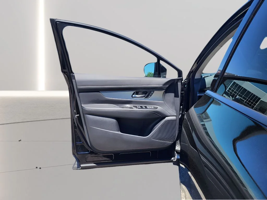 New 2026 Super Black Nissan Platinum image 32
