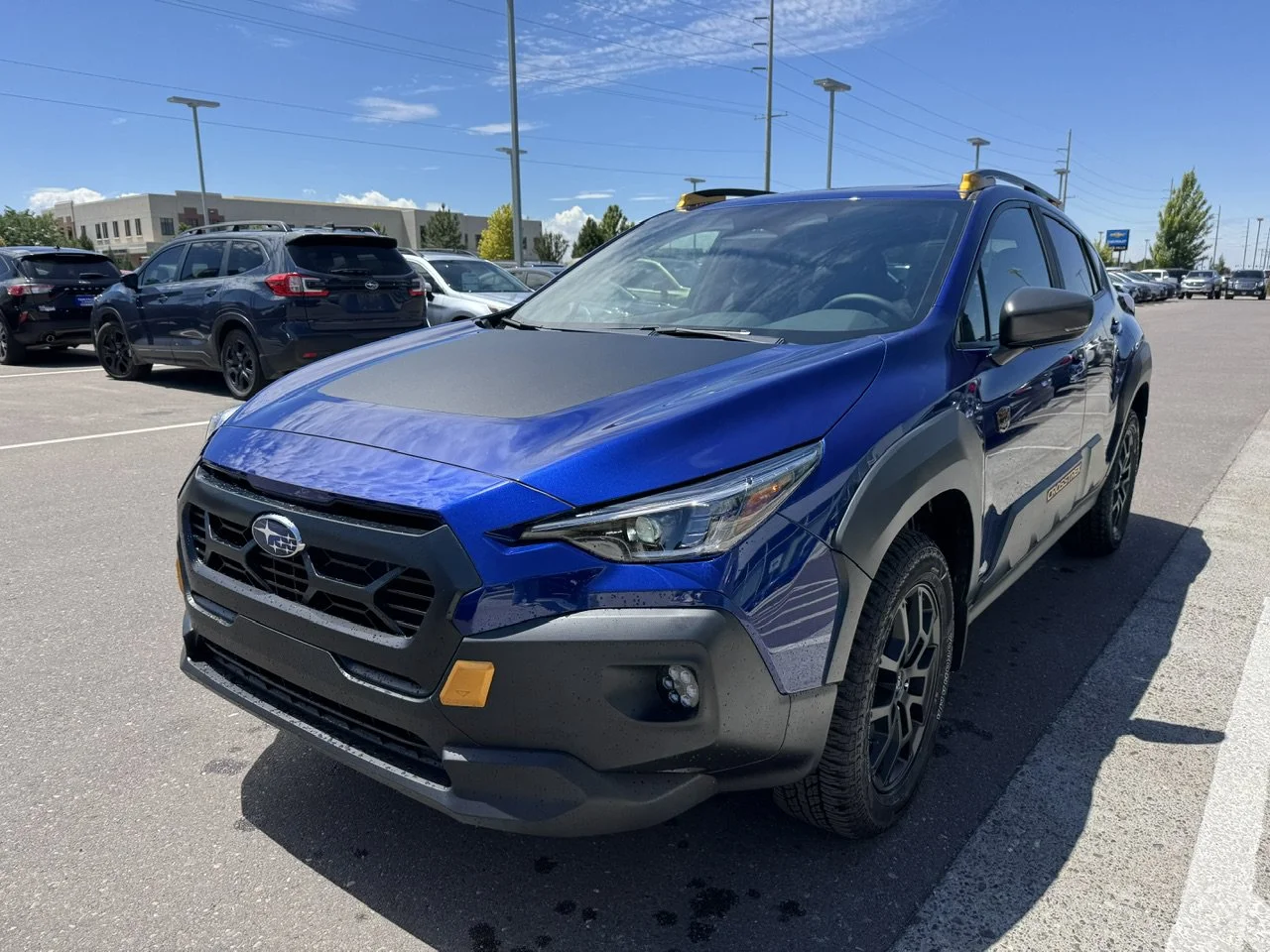 New 2026 Sapphire Blue Pearl Subaru Wilderness image 3