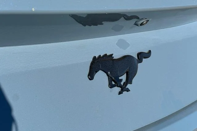New 2026 Vapor Blue Metallic Ford EcoBoost® Fastback image 43