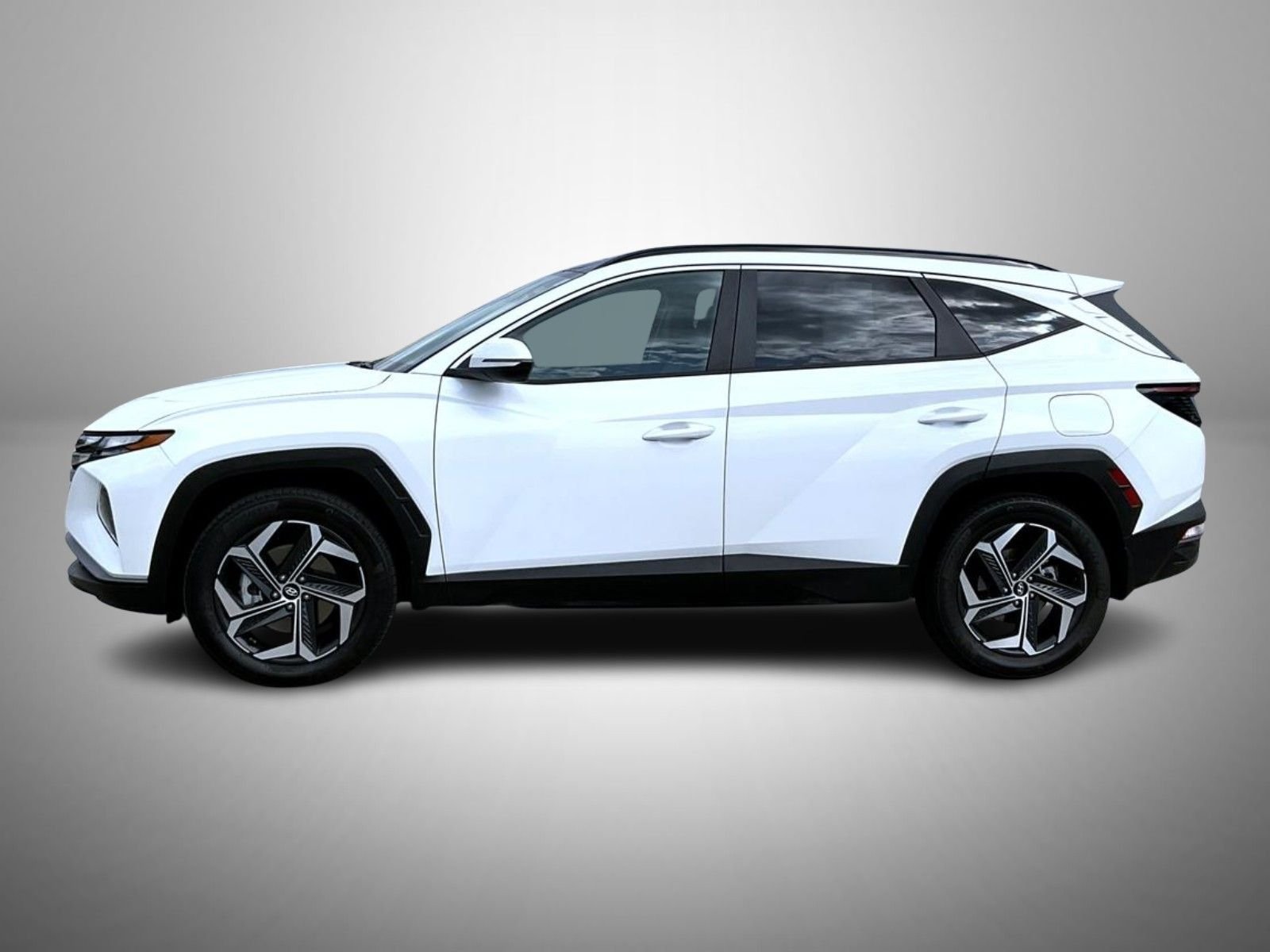 Used 2024 White Hyundai SEL Convenience image 8