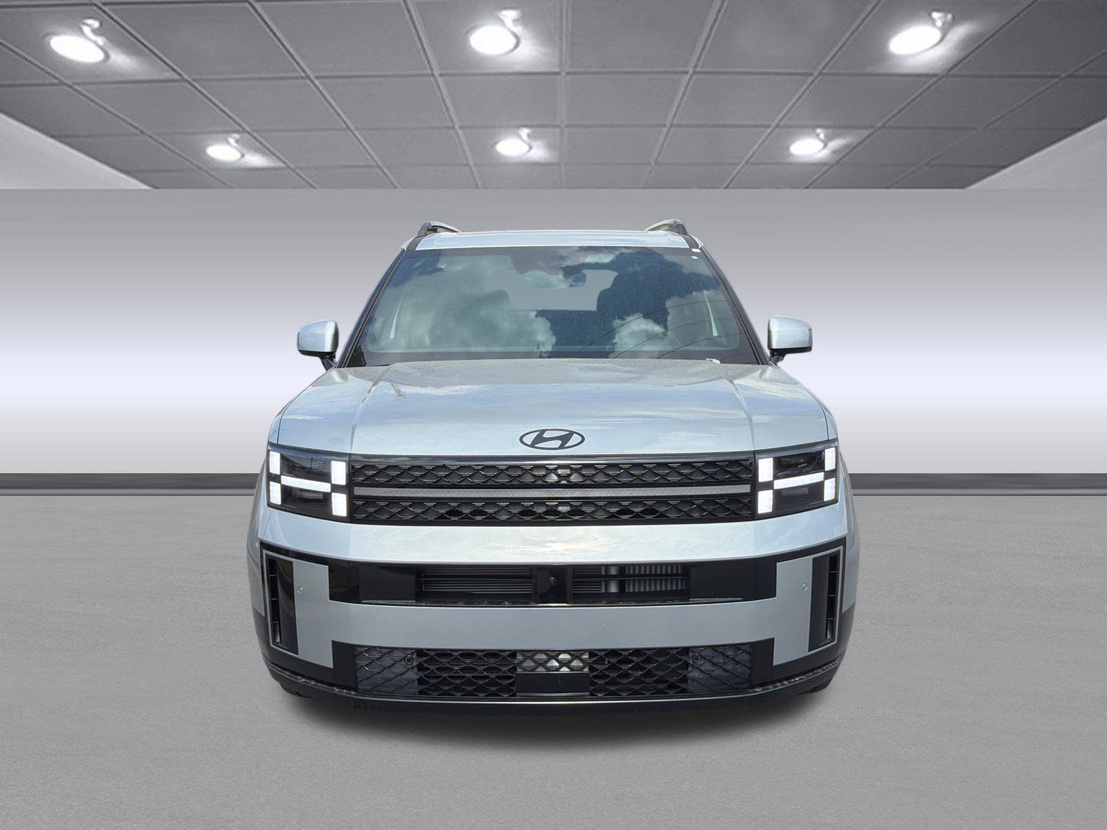 New 2026 Shimmering Silver Hyundai Calligraphy image 2