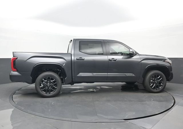 New 2026 Magnetic Gray Metallic Toyota Platinum image 2