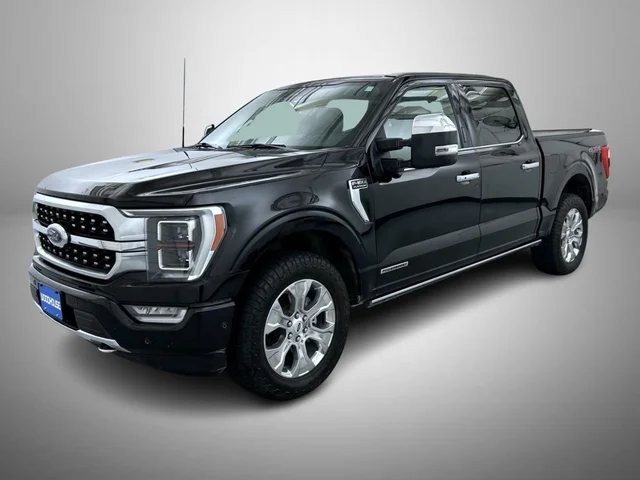 2022 Ford F-150 Platinum