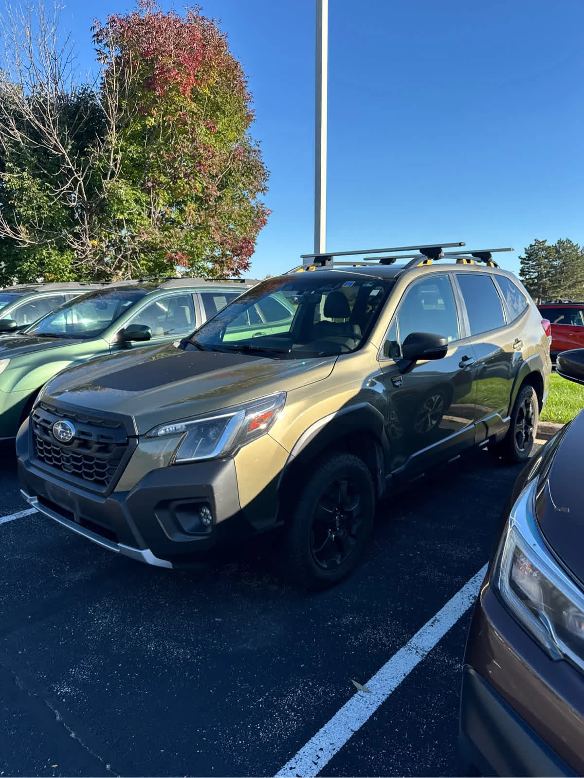 Used 2022 Autumn Green Metallic Subaru Wilderness image 1