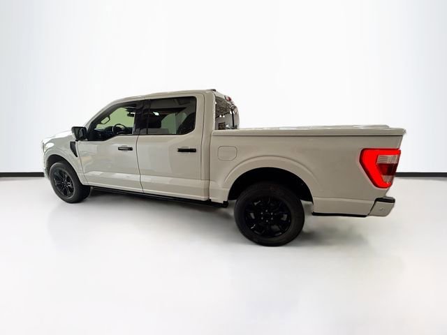 2021 Ford F-150 Platinum - Photo 9