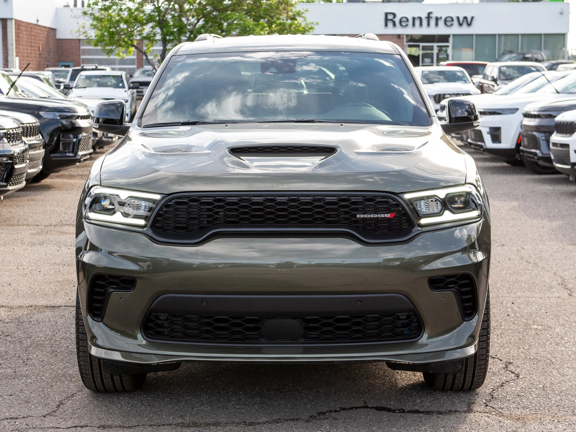 New 2026 Green Dodge GT Plus* image 7