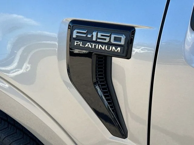 New 2025 Silver Metallic Ford Platinum image 19