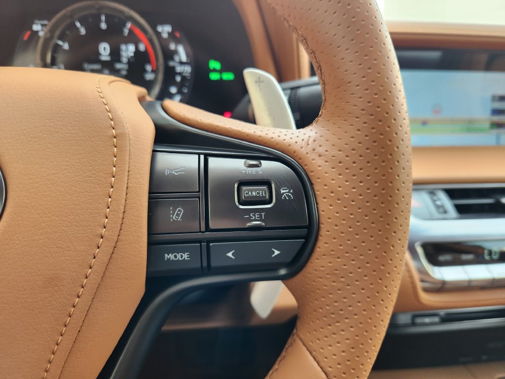 Used 2018 Infrared Lexus 500 image 30