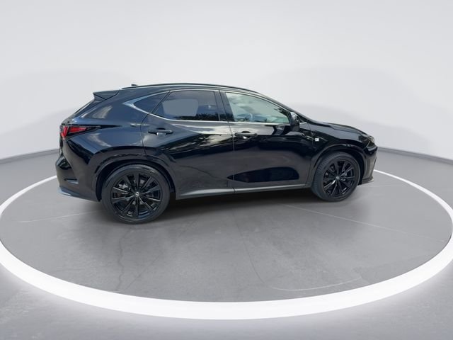 2024 Lexus NX 350 - Photo 8