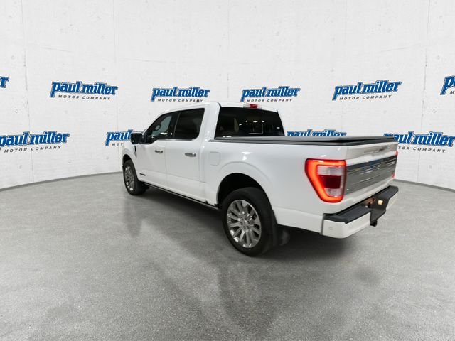 Used 2023 White Ford Limited image 8