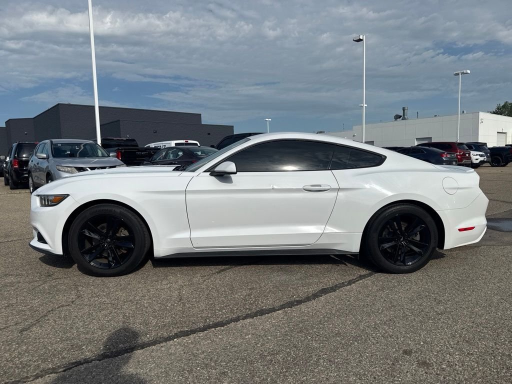 Used 2016 White Ford EcoBoost image 4